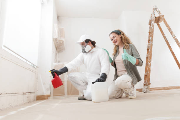 Professional Mold Removal in Quitman, MS